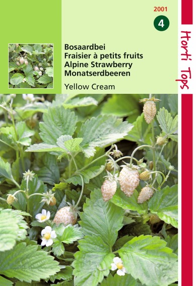 Wild strawberry Yellow Cream (Fragaria) 850 seeds HT
